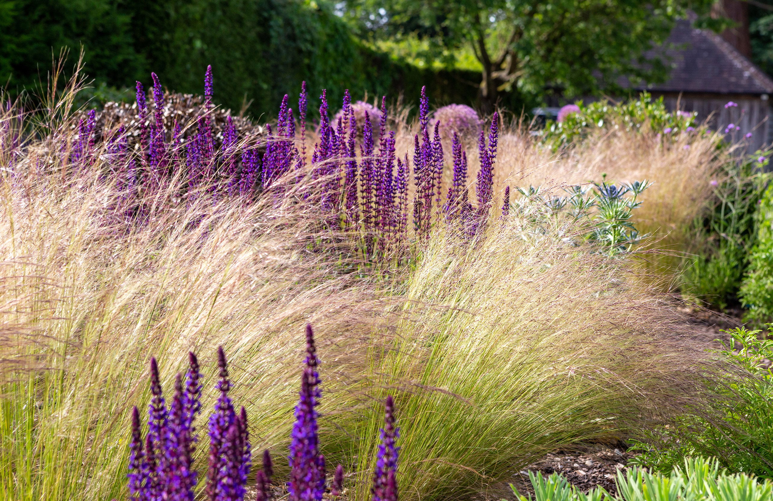 Ornamental grasses add rich texture and variety to your garden design